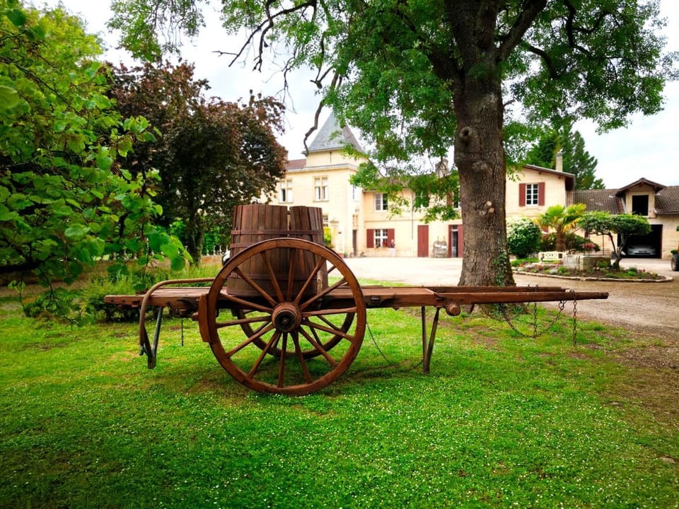 Property building, Natural landscape, Garden