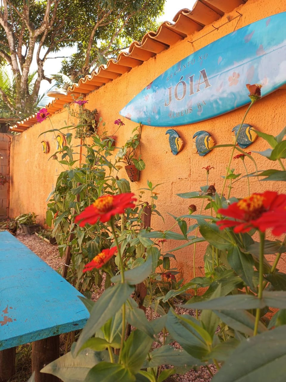 Garden, Garden view