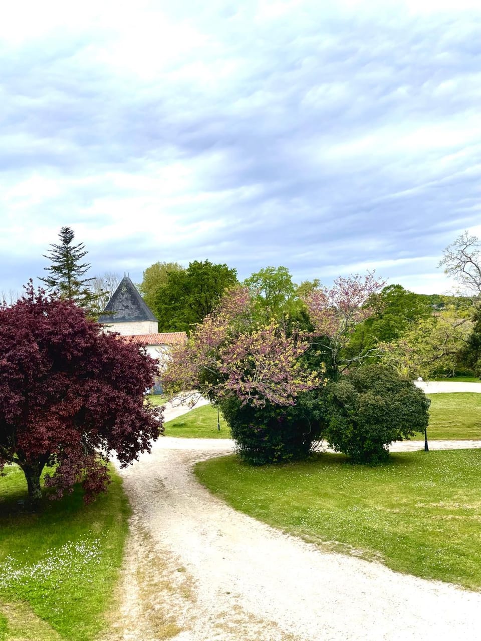 View (from property/room), Garden view