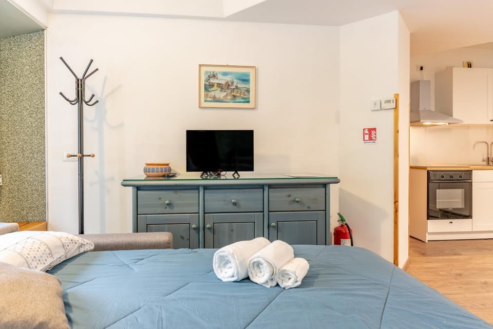 Bed, TV and multimedia, Kitchen or kitchenette, Photo of the whole room, Bedroom, towels