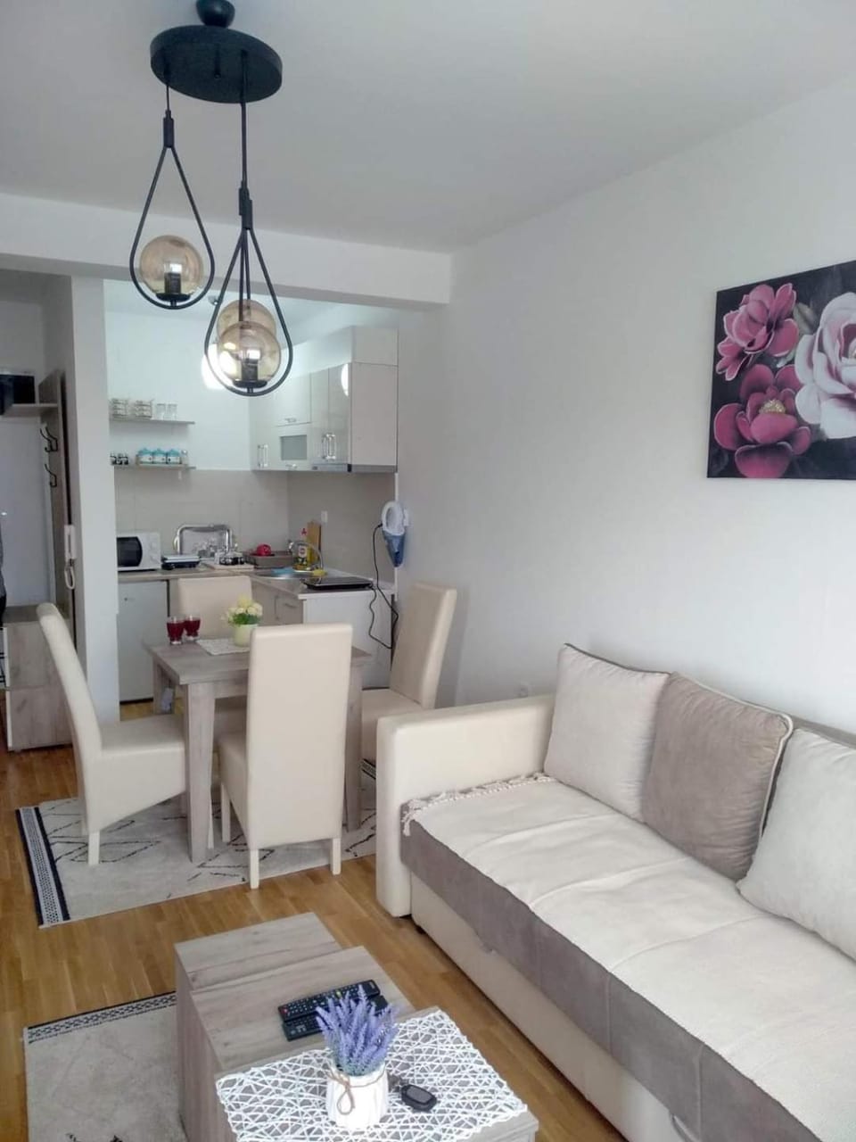 Apartman Filipović Vrnjačka Banja Apartment in Serbia