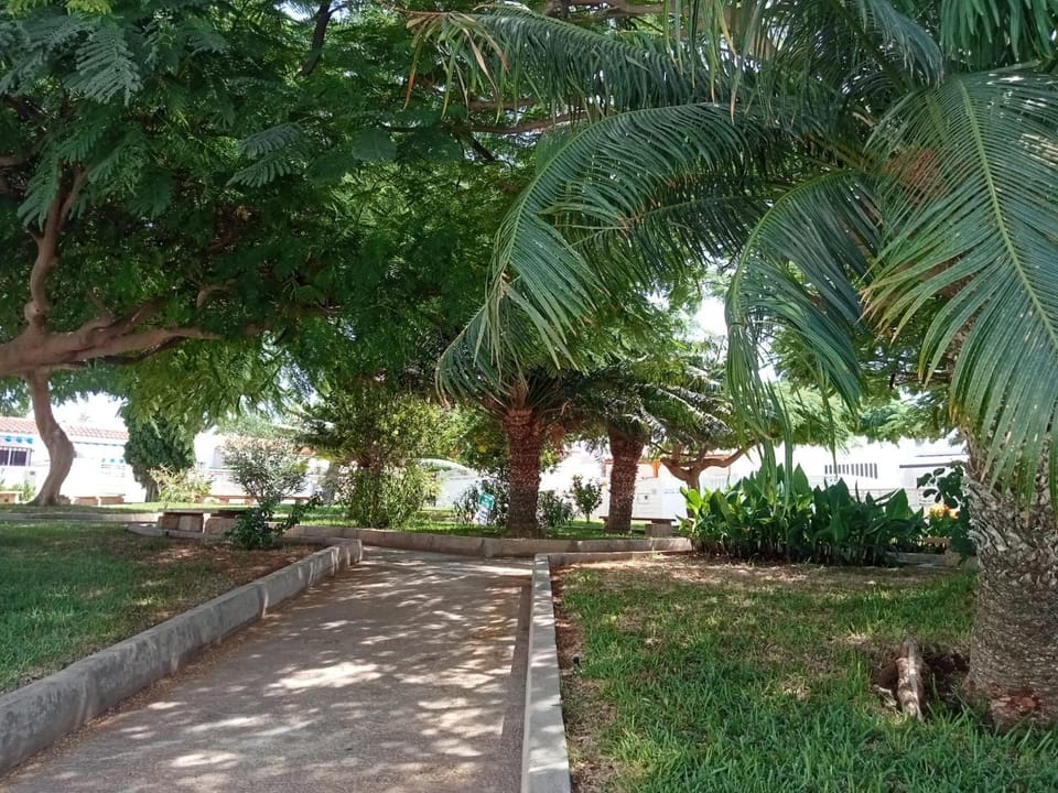 Garden, Garden