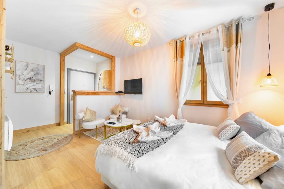 Au Petit Lion, Colmar centre Garage gratuit Apartment in Colmar