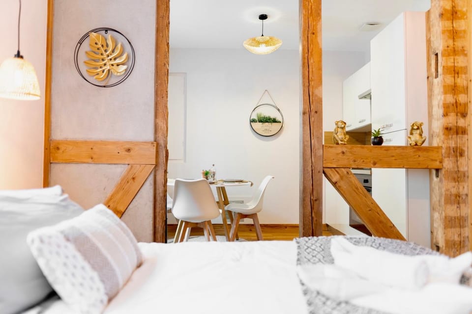 Au Petit Lion, Colmar centre Garage gratuit Apartment in Colmar
