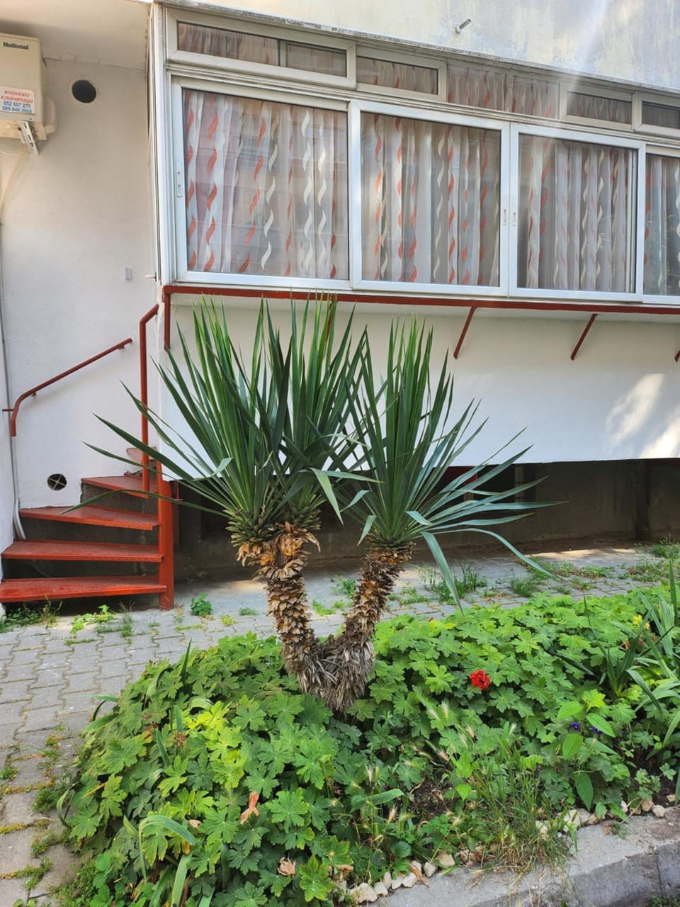 Property building, Facade/entrance, Day, Balcony/Terrace