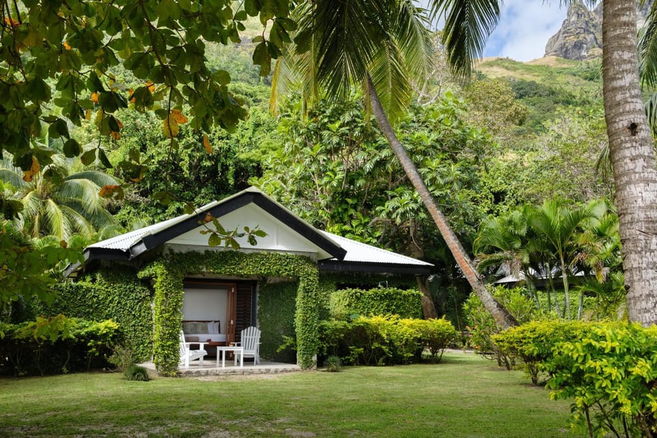 Natural landscape, Garden