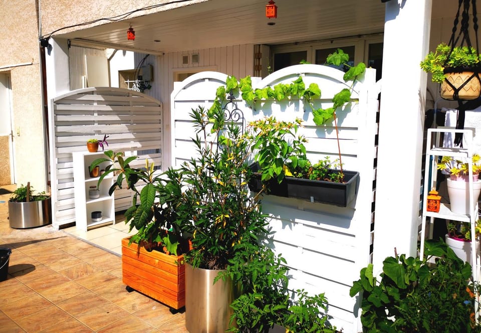 Spring, Day, Garden, Garden view