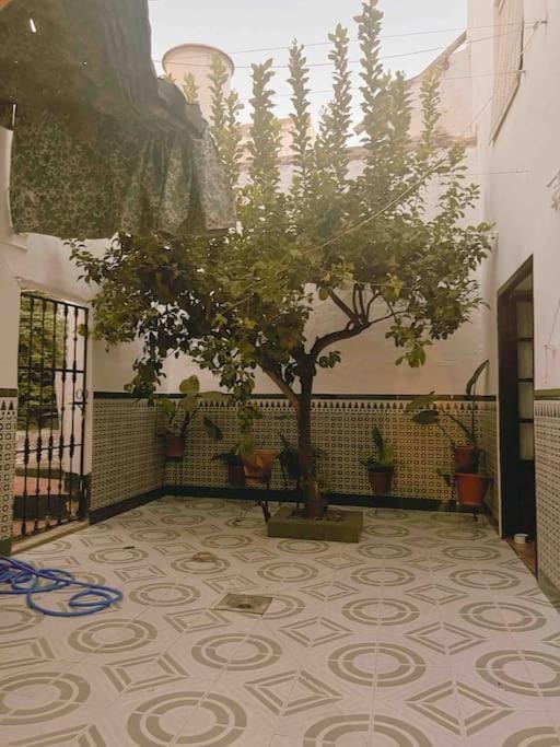 La Casa de Manolita House in Andalusia