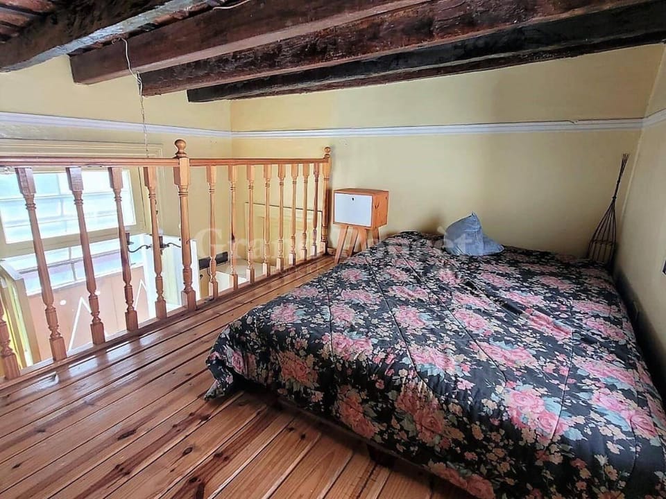 Bohemian San Telmo for large groups and families spacious and comfy apt for your Perfect Stay , ATENCIÓN PRECIO DE RESERVA EN DOLARES O PESOS DOLAR BLUE Apartment in Buenos Aires