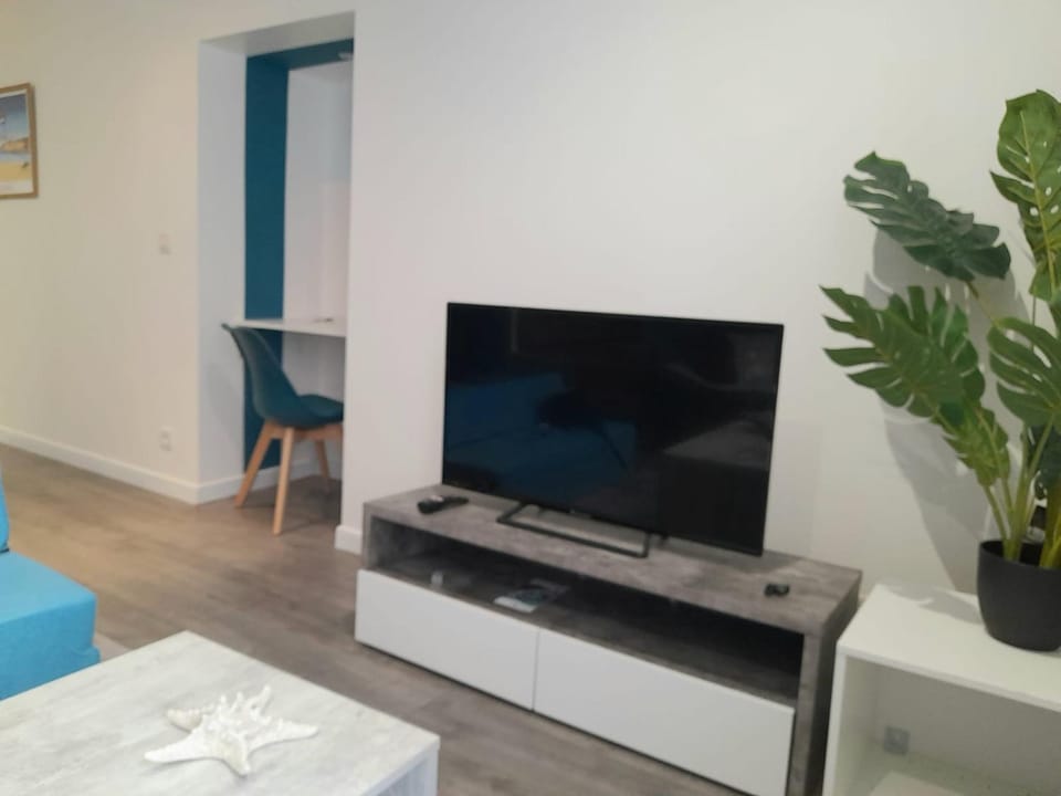 TV and multimedia
