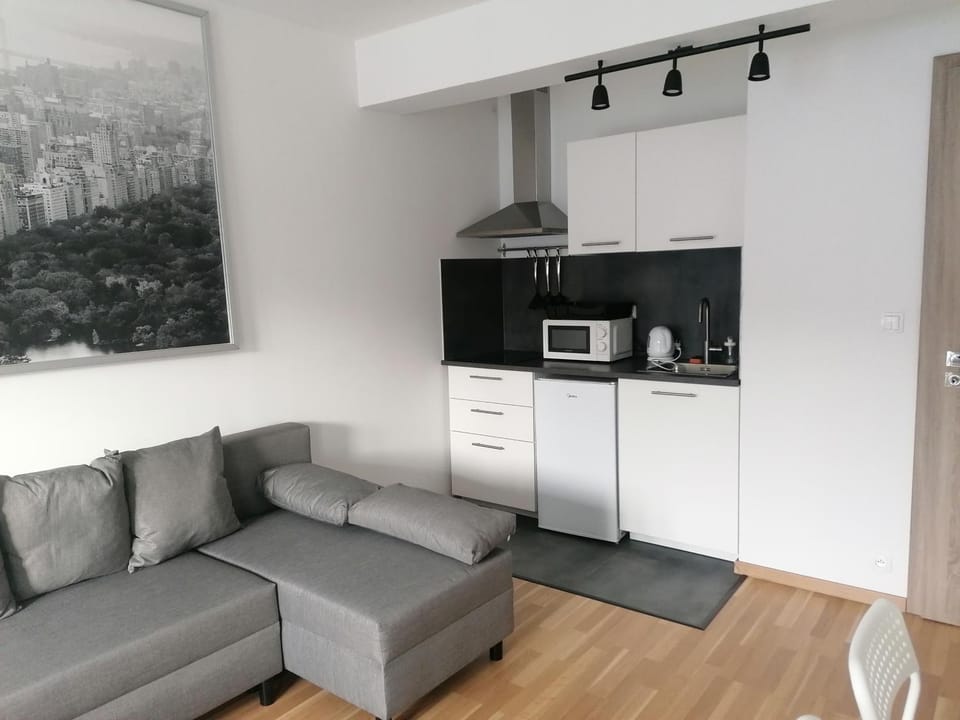Kitchen or kitchenette, minibar, stove