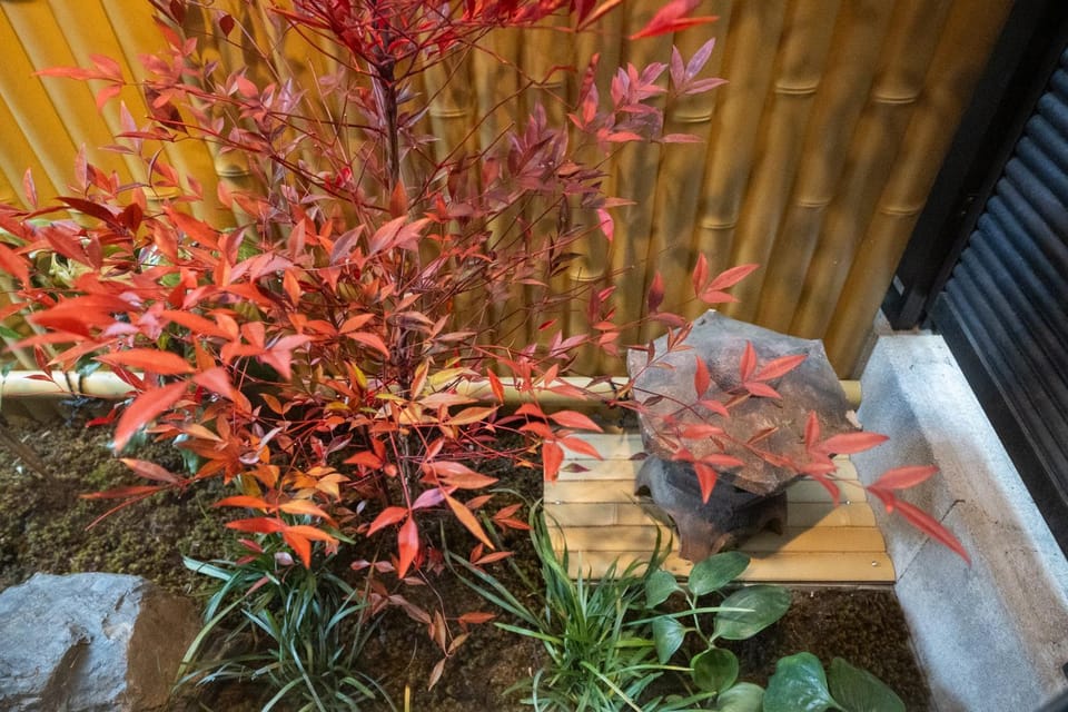 Garden, Garden view