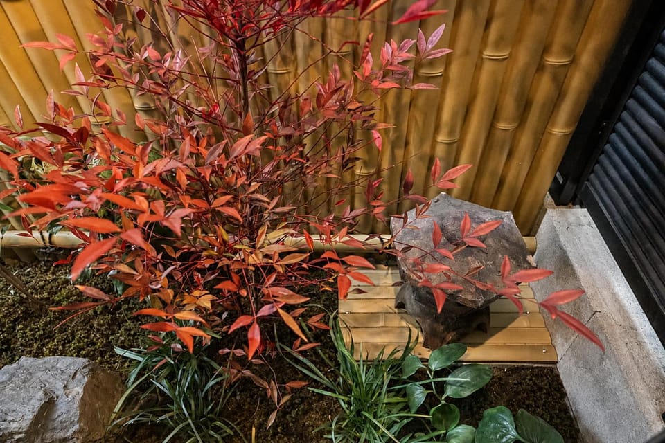 Garden, Garden view