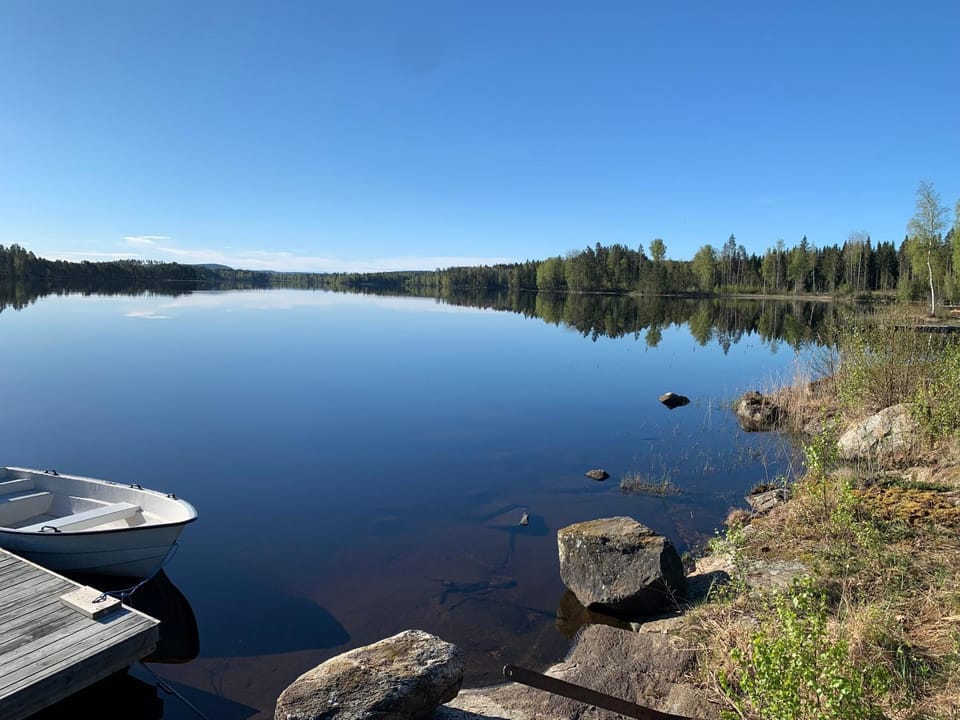 Lake view