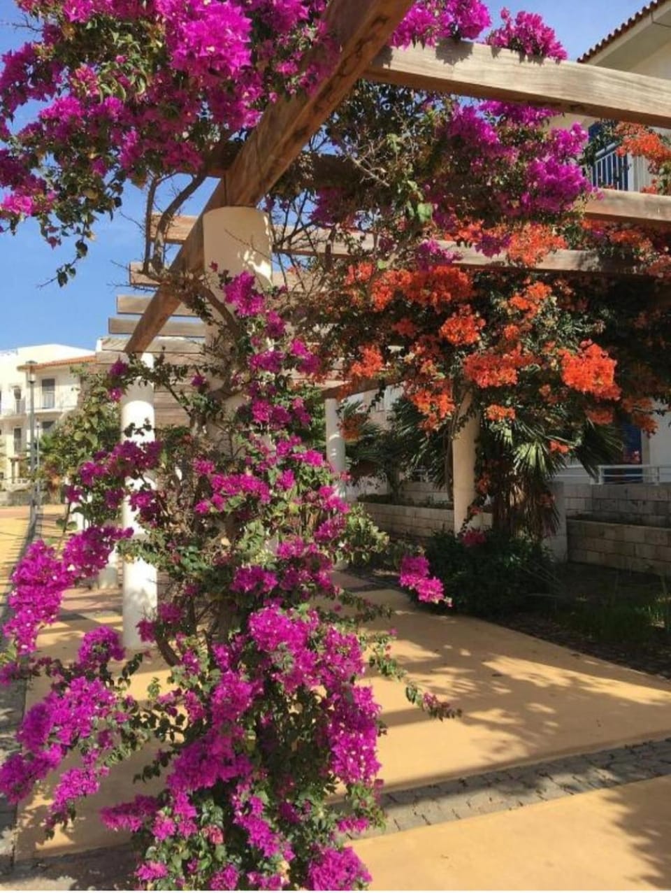 Sol & Lar No stress Apartment in Sal, Cabo Verde