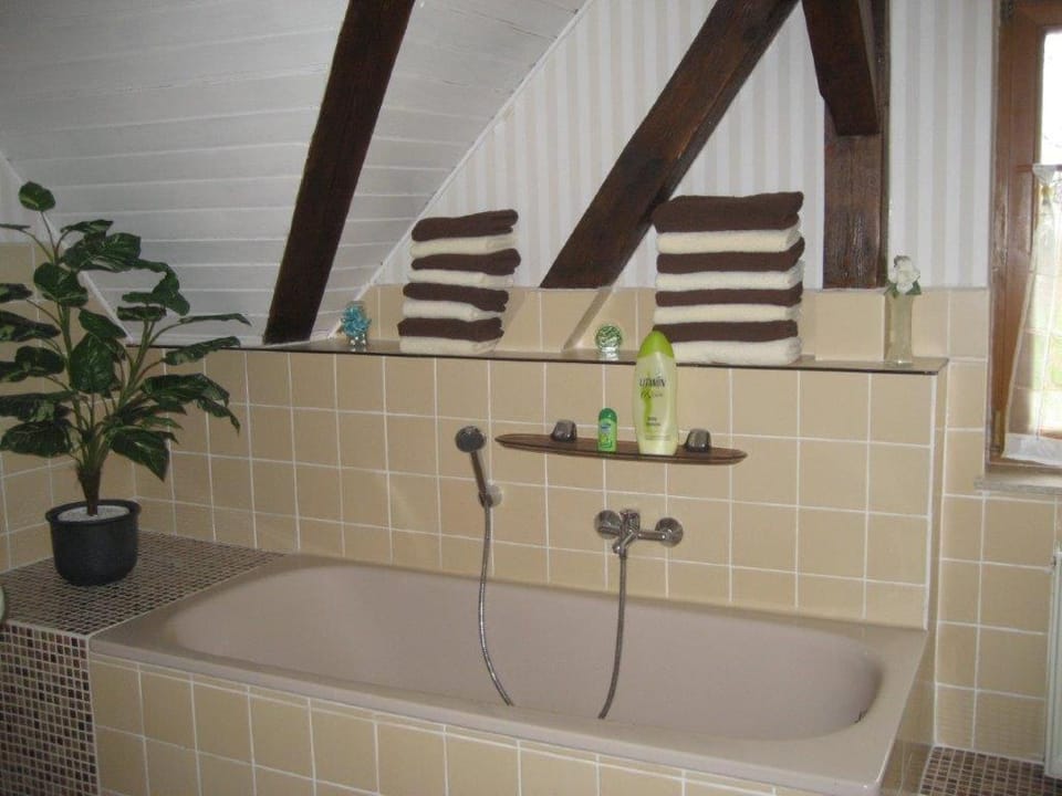 Landidyll Apartment in Saxony