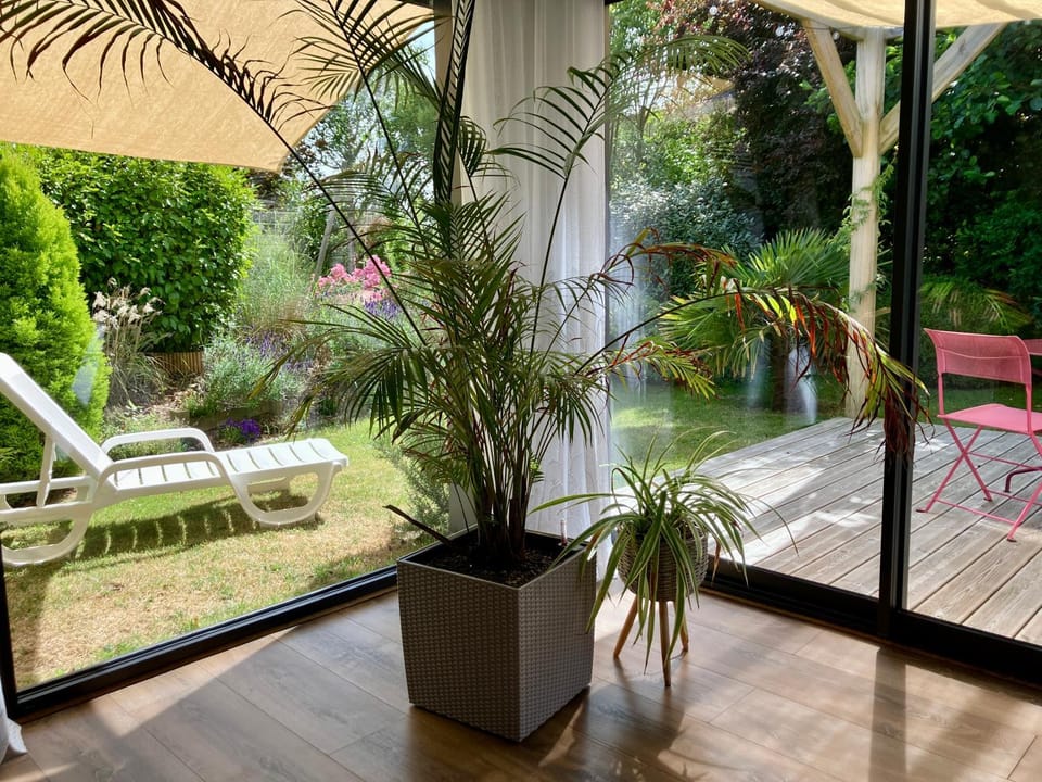 Garden, Living room, Garden view, sunbed