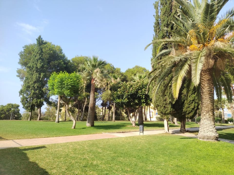 Garden view