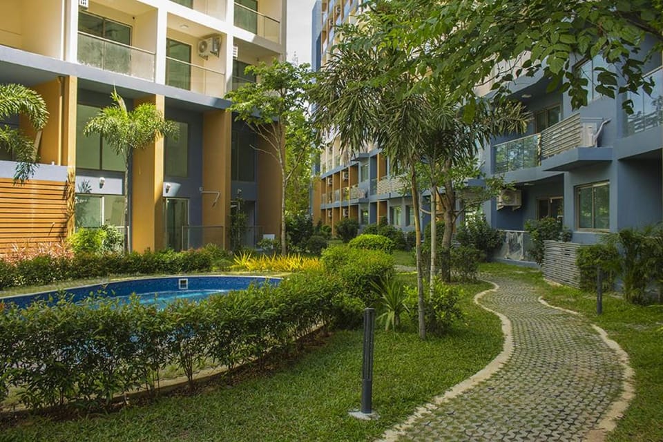 Garden, Garden view, Swimming pool