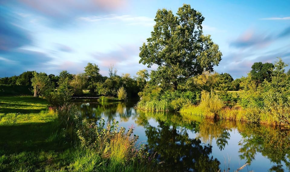 Nearby landmark, Natural landscape