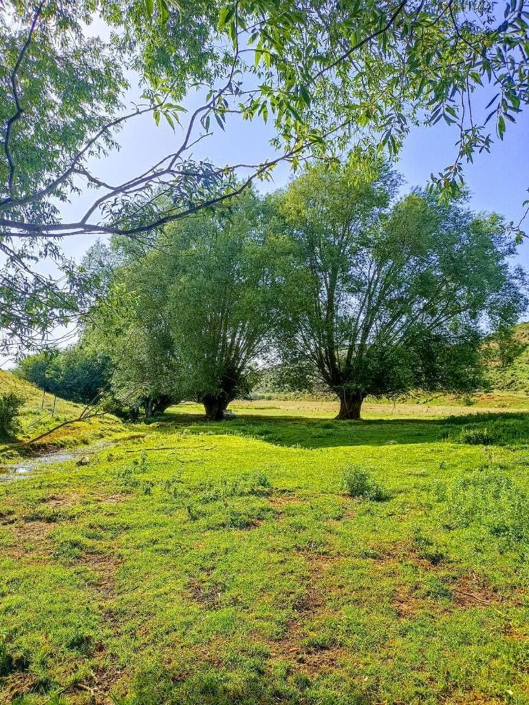 Vistas Del Maestrazgo apartamentos Rurales Apartment in Aragon