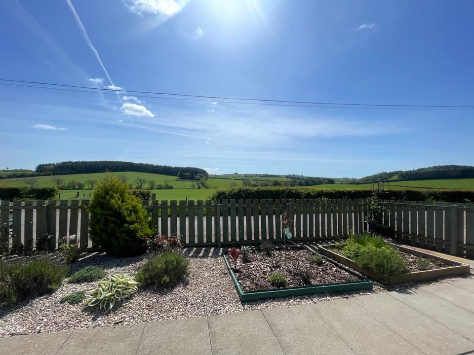 Spring, Garden, Garden view