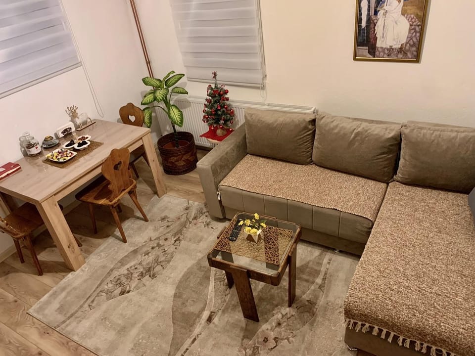 Vila Vasilisa Apartment in Zlatibor District, Serbia