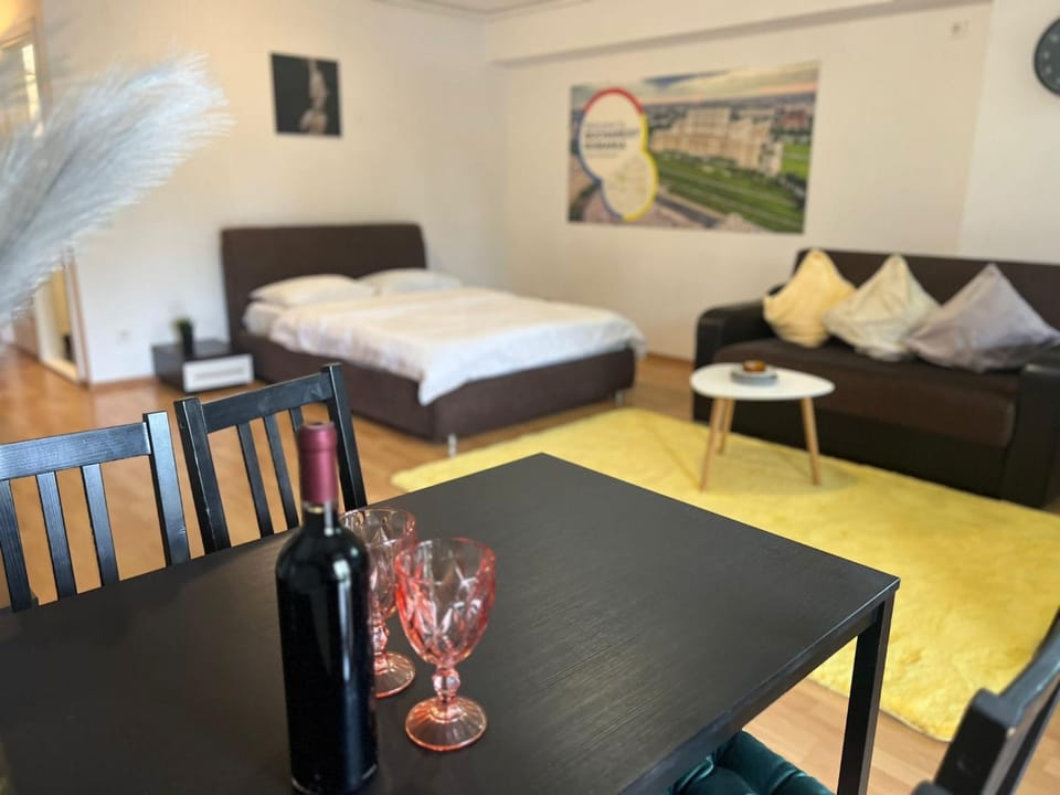 Tranzzit Airport Apartament Apartment in Romania