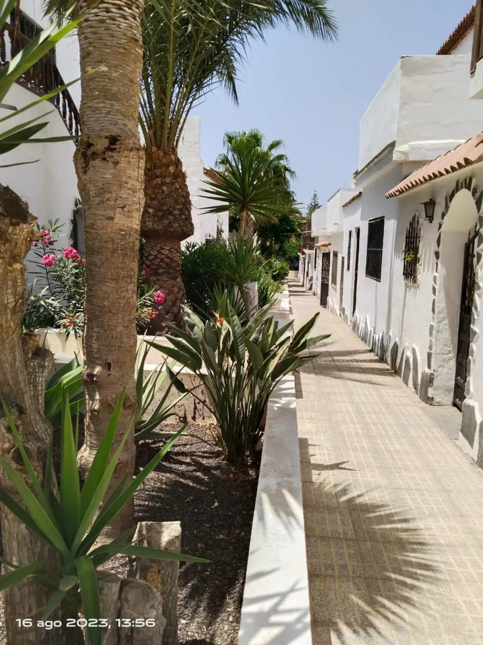 Property building, Garden view