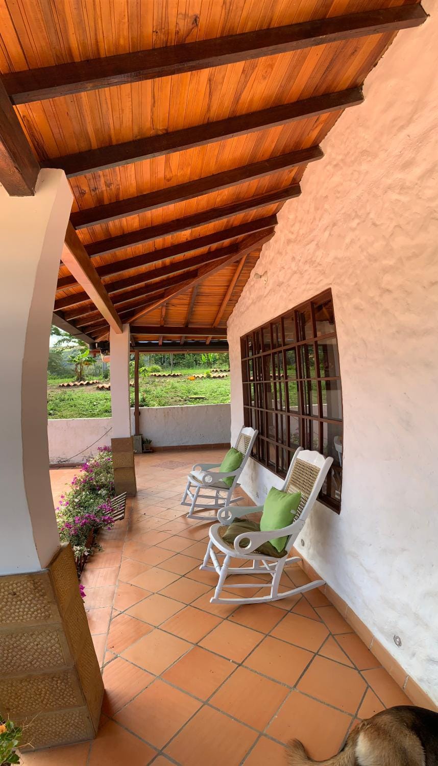 Garden, Balcony/Terrace, Garden view