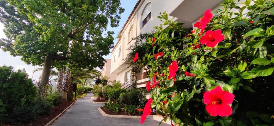 Haus mit traumhaftem Meerblick House in Alacantí