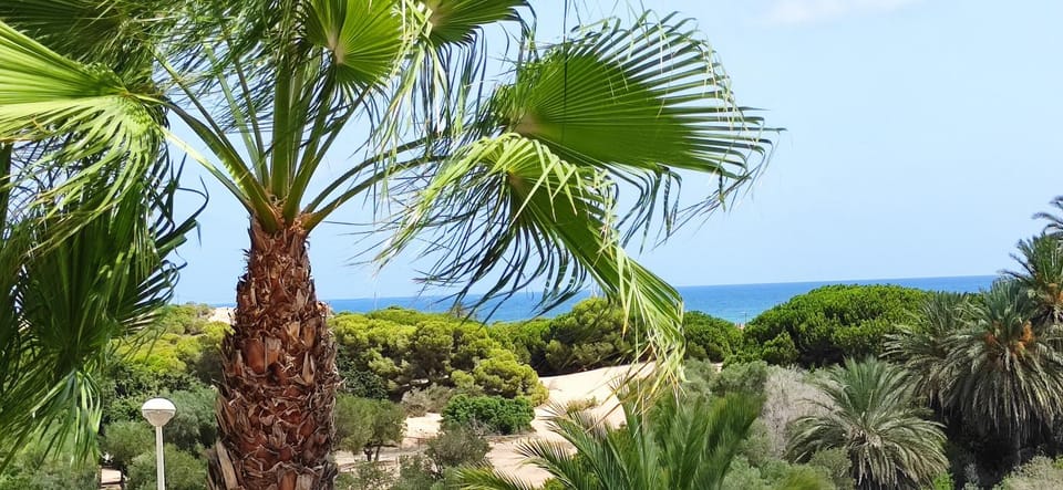 Sea view