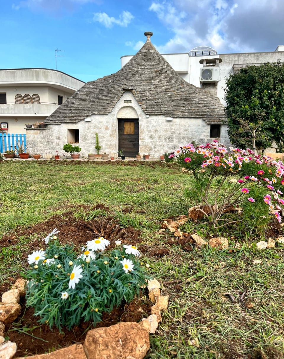Property building, Garden, Garden view