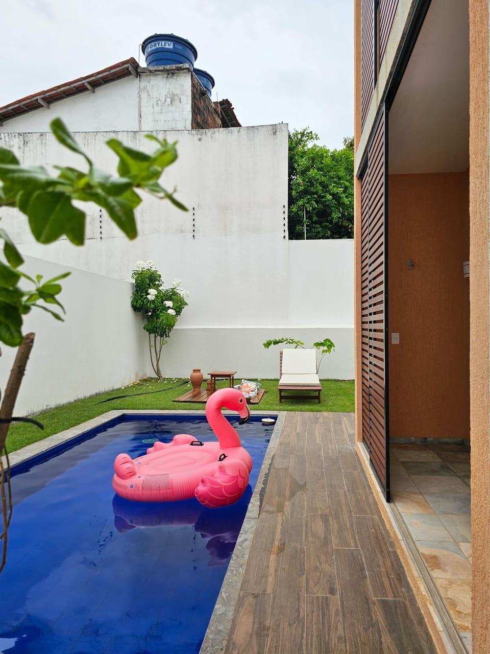 Day, Pool view, Swimming pool, sunbed