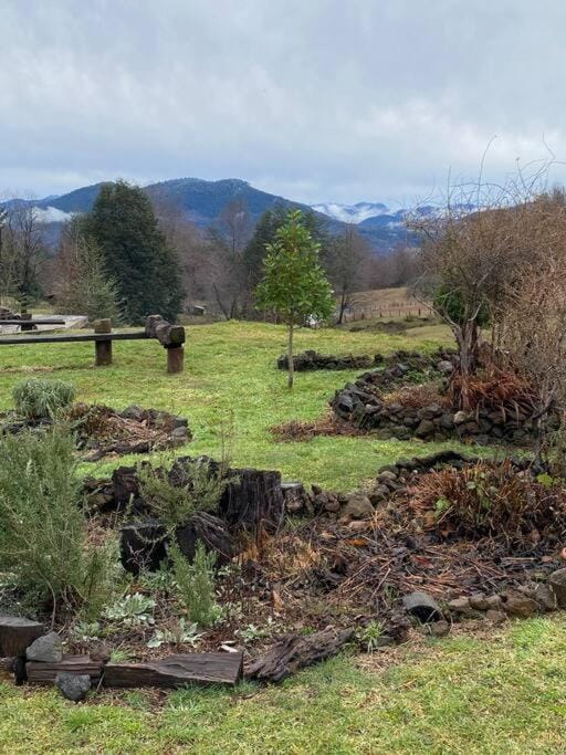 Natural landscape, Garden view