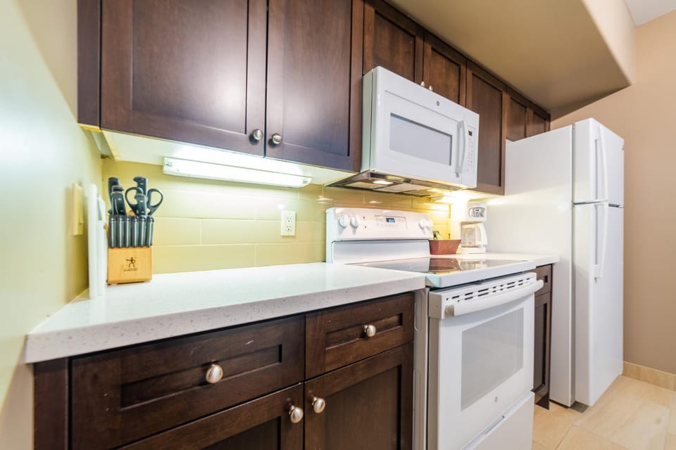 Kitchen or kitchenette, minibar, pet friendly