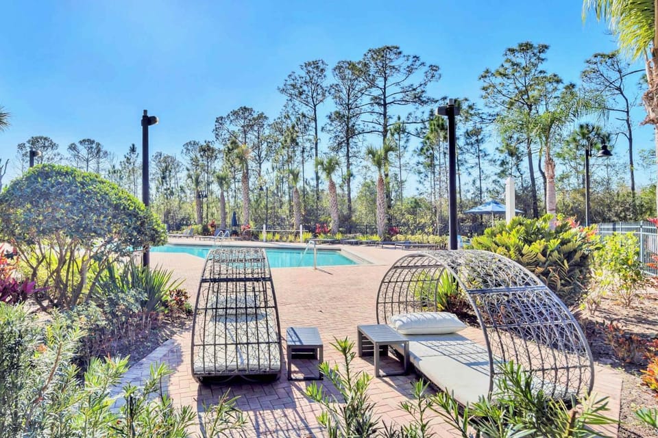 Pool view, Swimming pool, sunbed