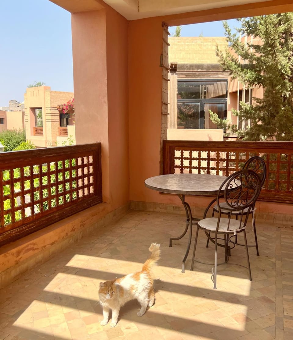 Patio, Balcony/Terrace