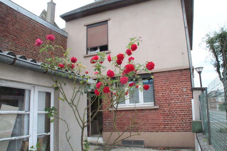 Property building, Garden, Garden view