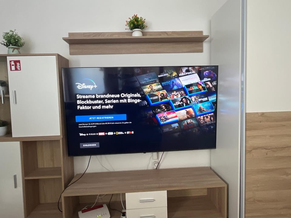 TV and multimedia