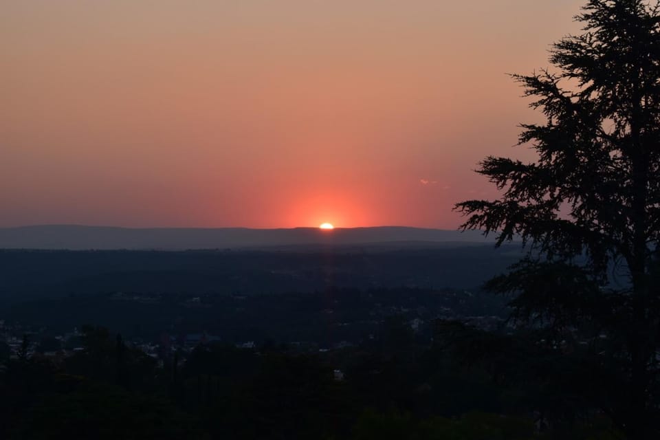 View (from property/room)