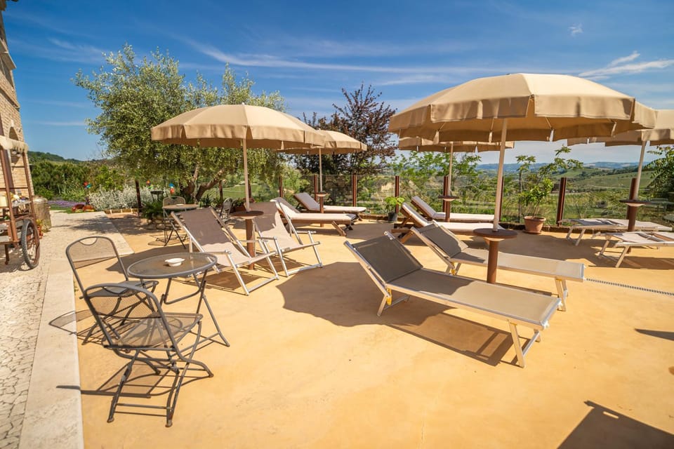 Swimming pool, sunbed