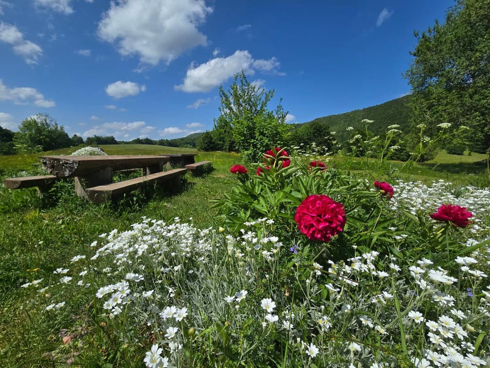 Holiday home Margherita House in Primorje-Gorski Kotar County
