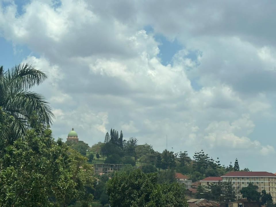 View (from property/room)