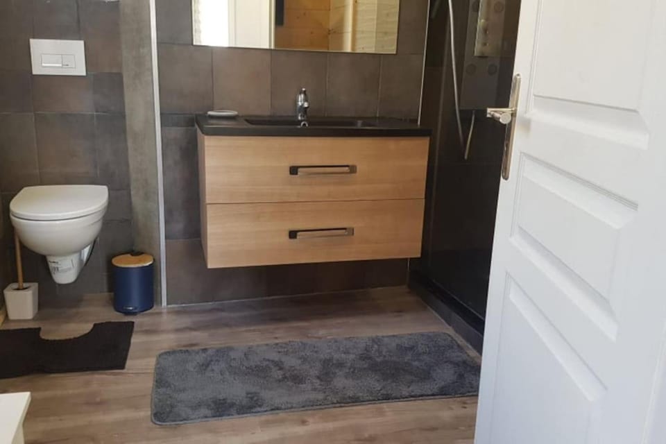 Logement entier: appartement. Apartment in Auvergne-Rhône-Alpes