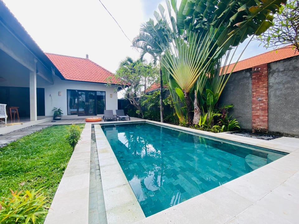 Garden, Swimming pool, Swimming pool