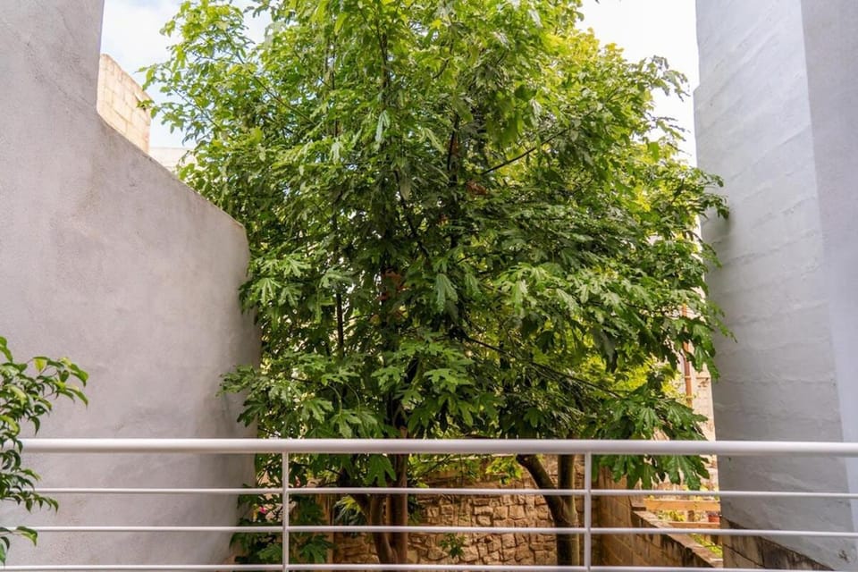 Garden, Garden view