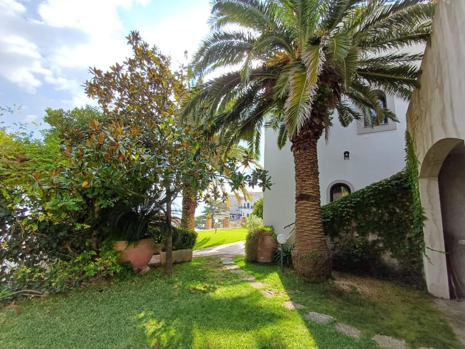 Day, Natural landscape, Garden, Garden, Garden view
