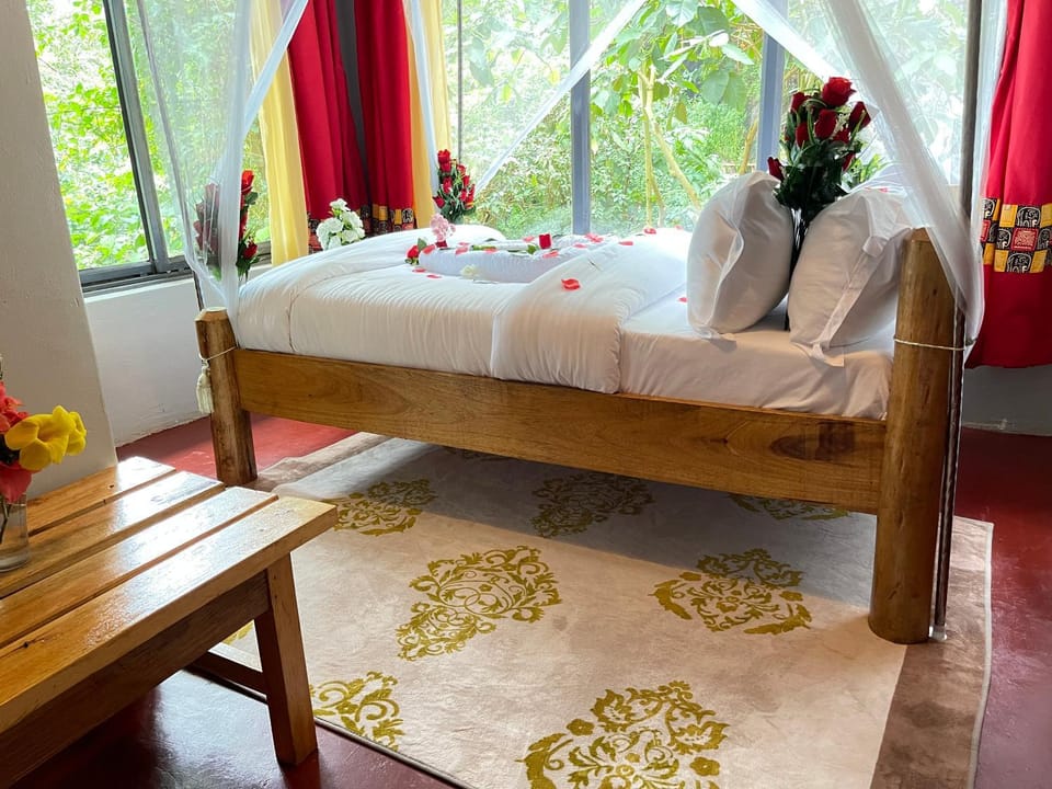 Bed, Photo of the whole room