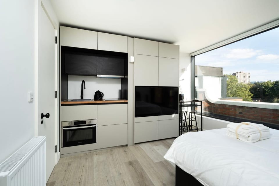 Bed, TV and multimedia, Kitchen or kitchenette, Photo of the whole room, Bedroom, oven